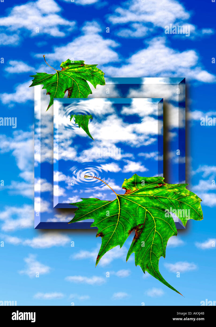 Blätter fallen gegen blauen Himmel Hintergrund blauer Himmel Wolken flauschige ändern Sommer Konzept abstrakten Foto illustration Stockfoto