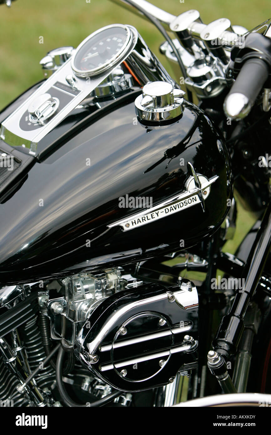Harley Davidson, EVO, Detail. Stockfoto