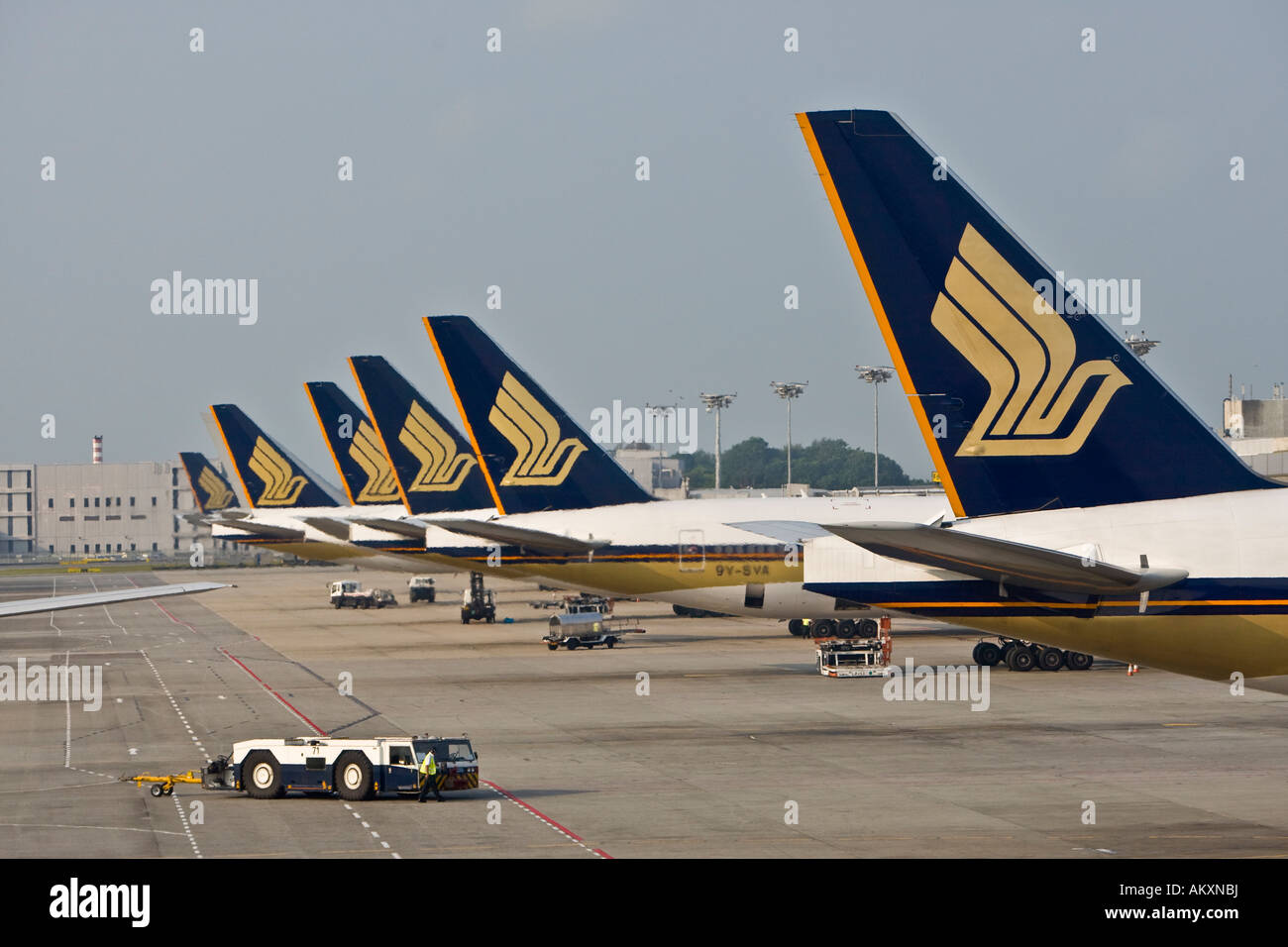 Hintere Flossen von Singapore Airlines Flugzeuge parken am Flughafen Changi, Singapur, Indonesien. Stockfoto