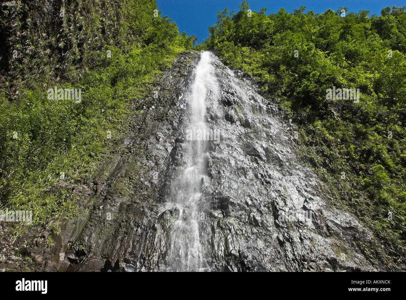 Wasserfall im Tal der Grand Etang, La Réunion, Frankreich, Afrika Stockfoto