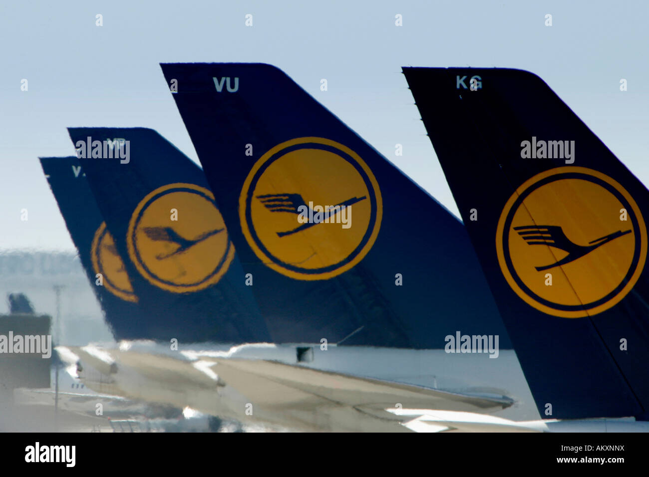 Flugzeug-Flotte der Lufthansa auf dem Flughafen, Leitwerk, Frankfurt am Main, Deutschland. Stockfoto