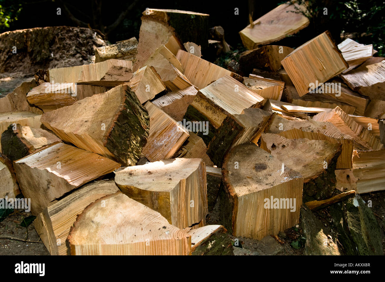 Gehackte holzstapel -Fotos und -Bildmaterial in hoher Auflösung – Alamy
