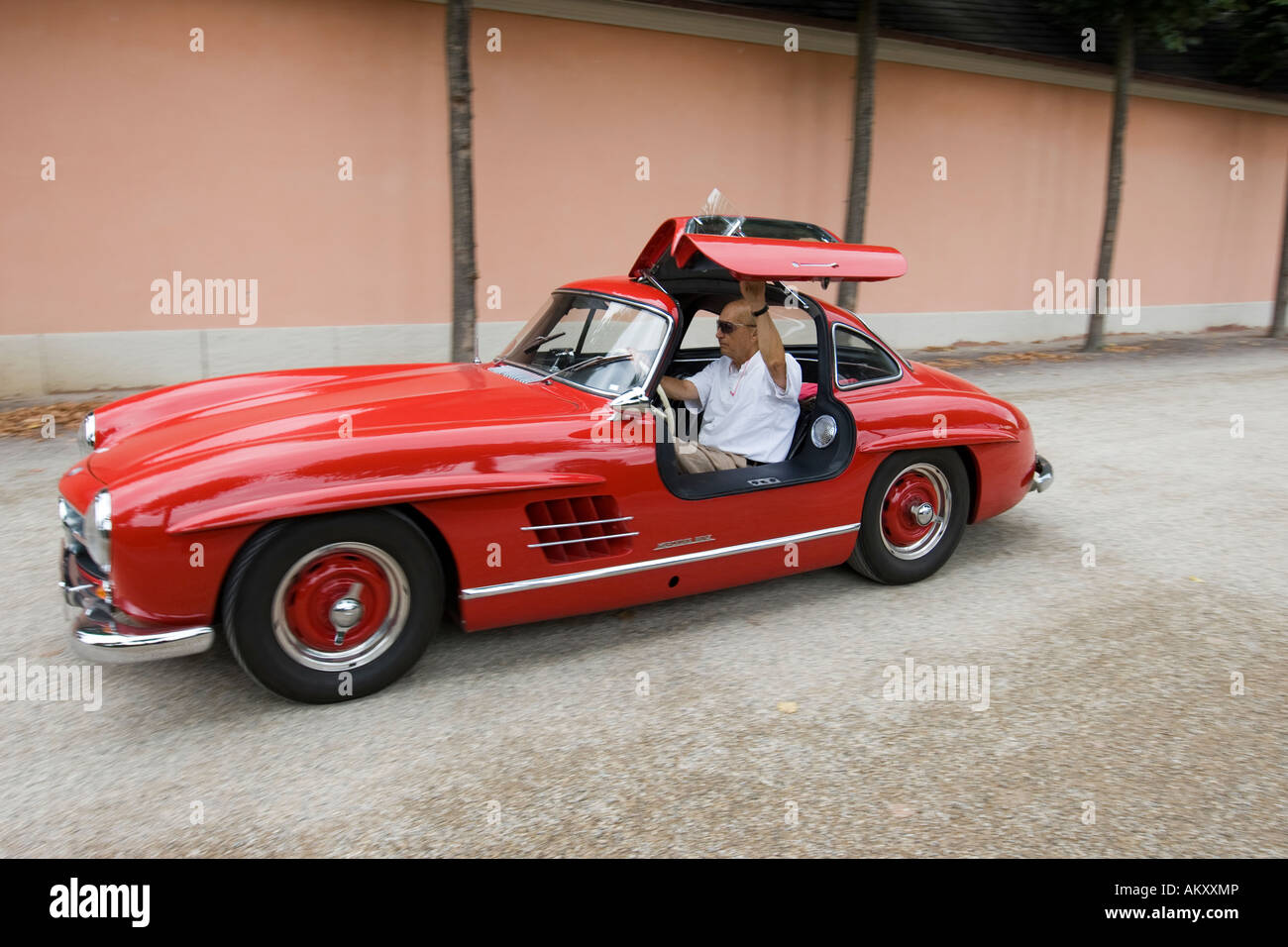Mercedes 300 SL, Möwe-winged, Vintage Auto treffen, Schwetzingen, Baden-Württemberg, Deutschland Stockfoto