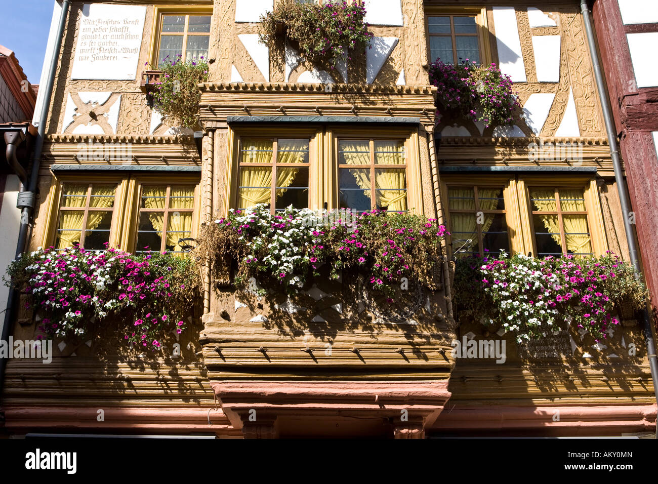 Altstadt, gepflegten Fachwerkhäuser mit Blumenkästen, Miltenberg, Bayern, Deutschland Stockfoto