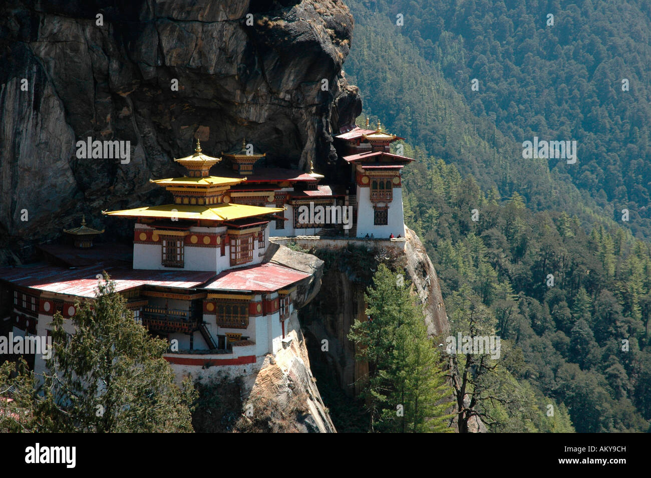 Bhutan, Königreich, Himalaya, Kloster Takstang in der Nähe von Paro (Tiger Höhle), angeblich von Guru Rinpoche auf dem Ba Anreise gebaut werden Stockfoto
