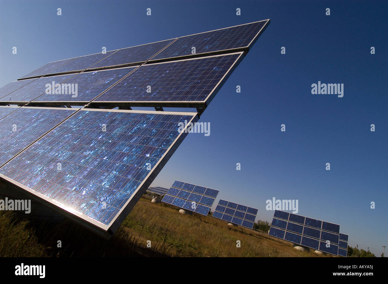 Solarmodule auf einem Testfeld in Berlin, Deutschland Stockfoto