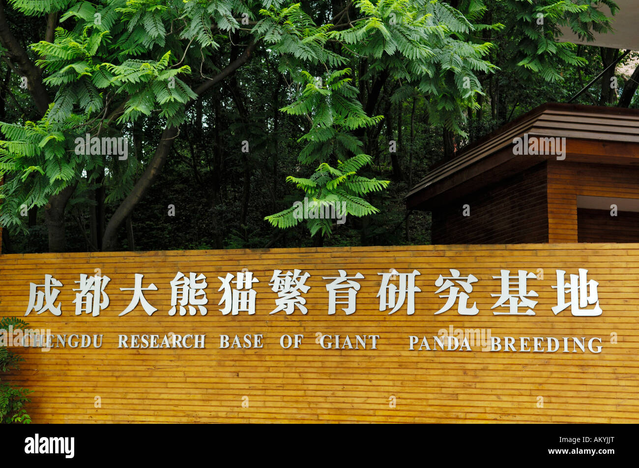 Eingang, Panda Zuchtstation in der Nähe von Chengdu, China, Asien Stockfoto