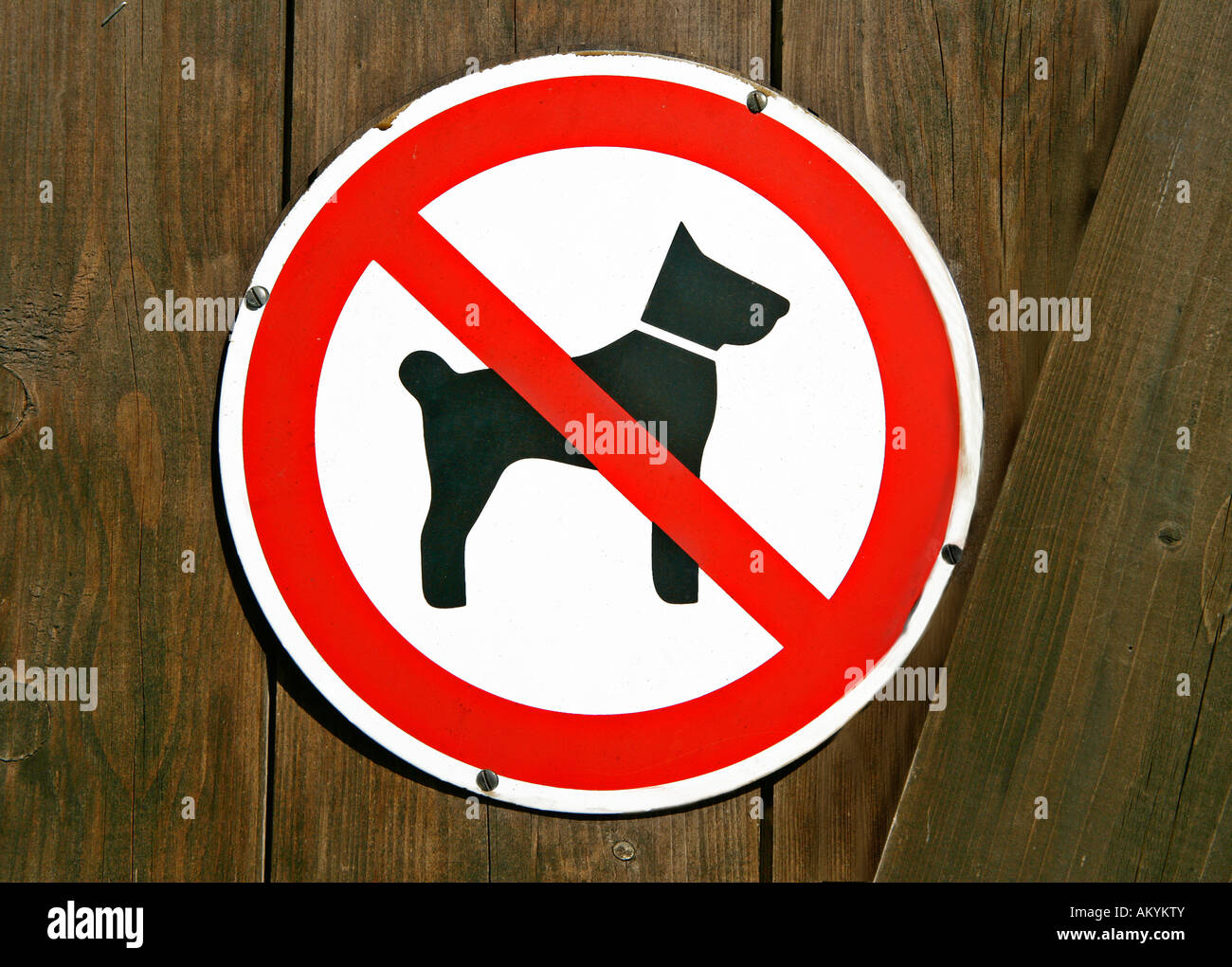 Schild: Hunde sind nicht erlaubt Stockfoto