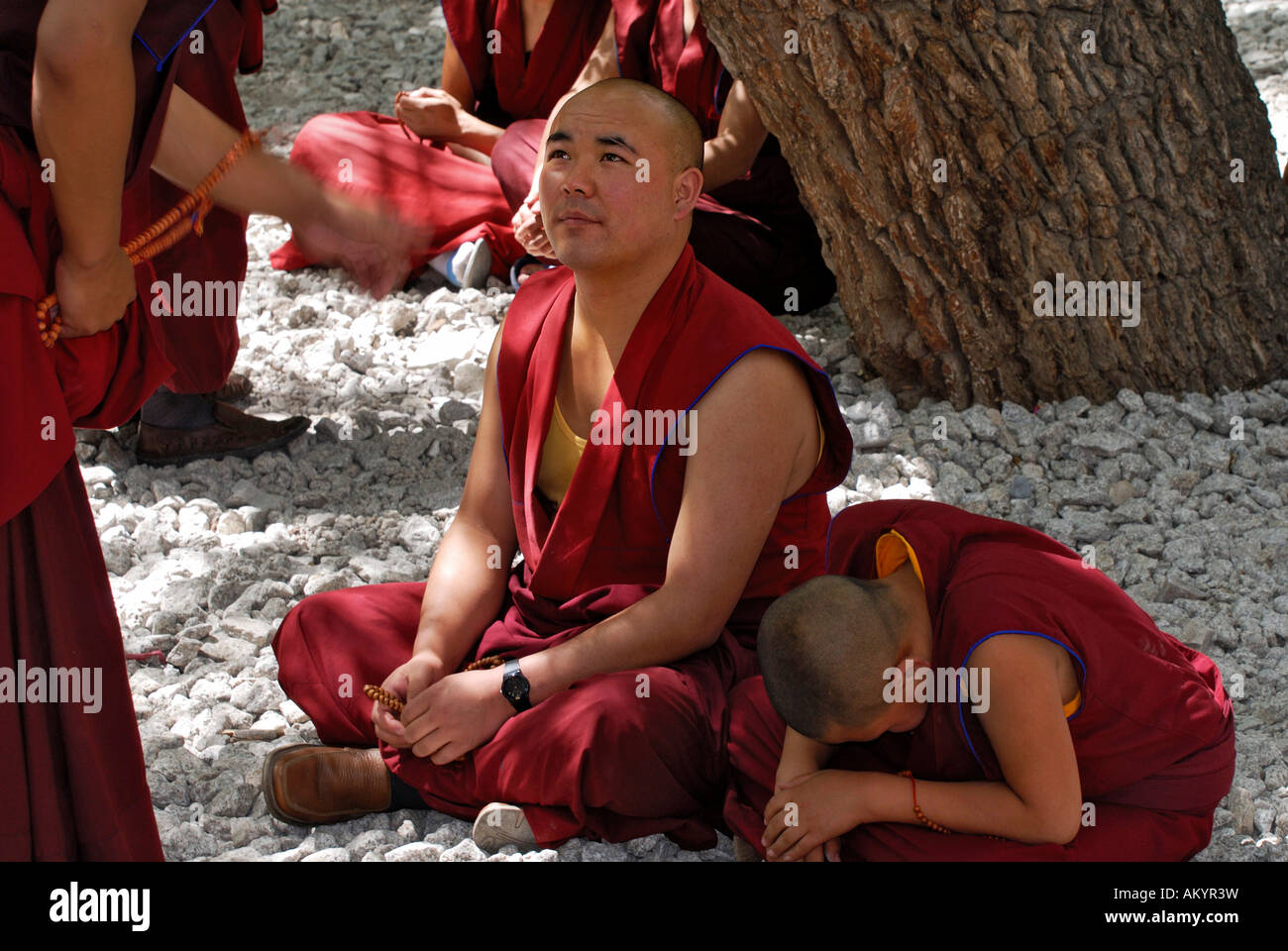 Diskutieren, Mönche, Kloster Sera, Tibet Stockfoto