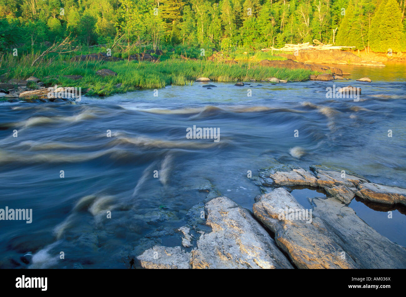 St. Louis River in Jay Cooke State Park-Minnesota Stockfoto