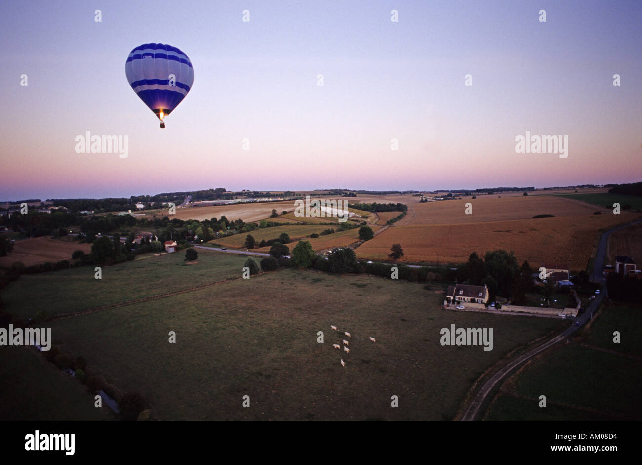 Frankreich Europa vier Ballons über ein Feld mit Kühe Rinder Stockfoto