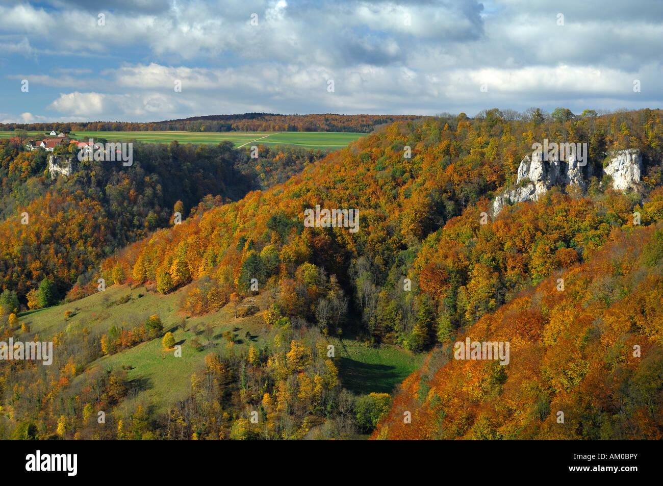 Herbstliche Buche Nut, Schwäbische Alb, Baden-Württemberg, Deutschland Stockfoto