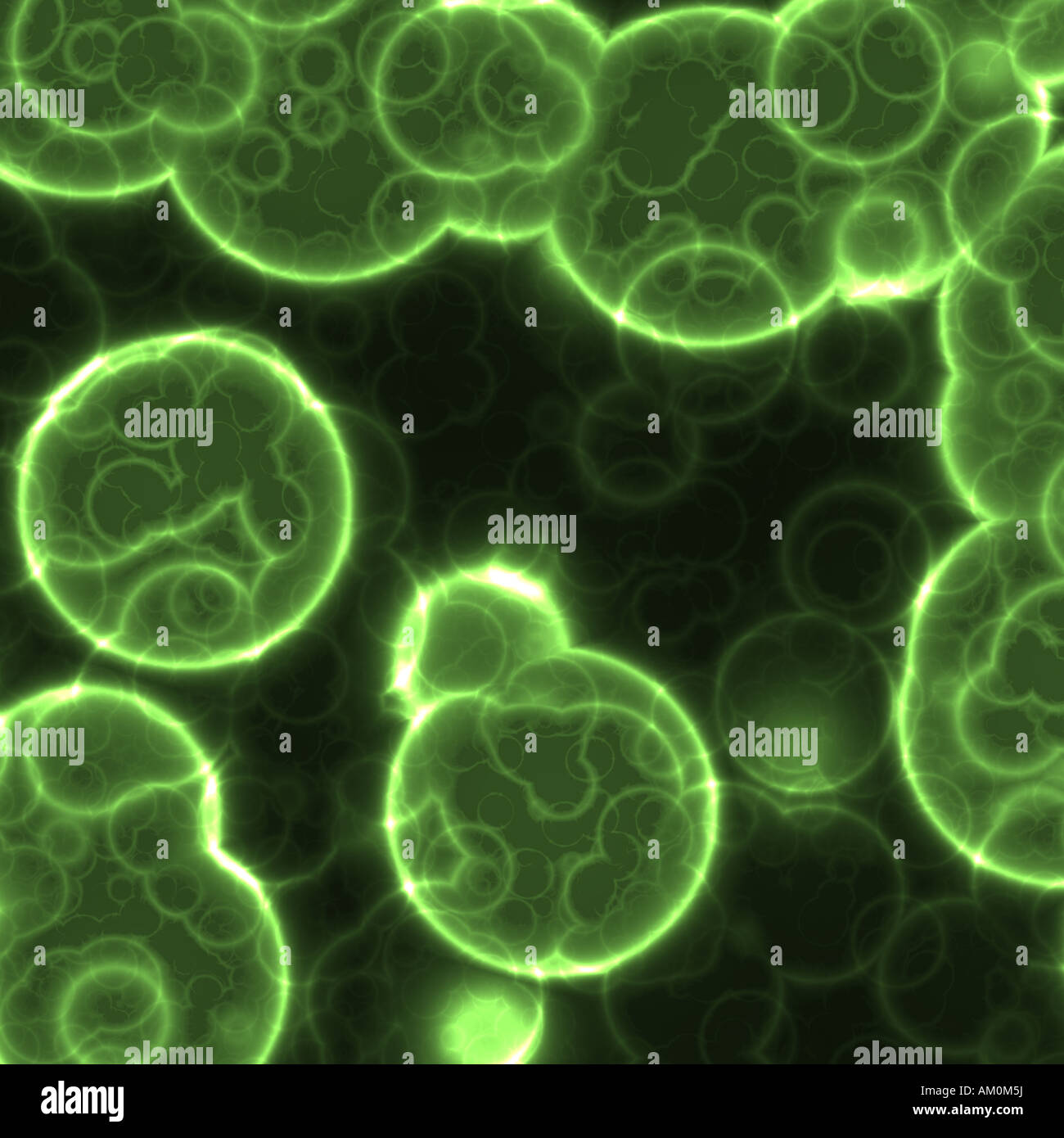 ein großes Hintergrundbild von Zellen oder Bakterien unter dem Mikroskop Stockfoto