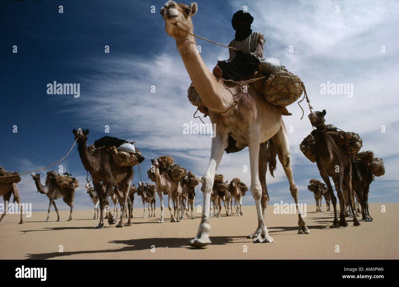 NIGER Westafrika Stammes-Leute Tuareg Kamel-Karawane Zug durch Sahara Wüste Güter befördern Stockfoto