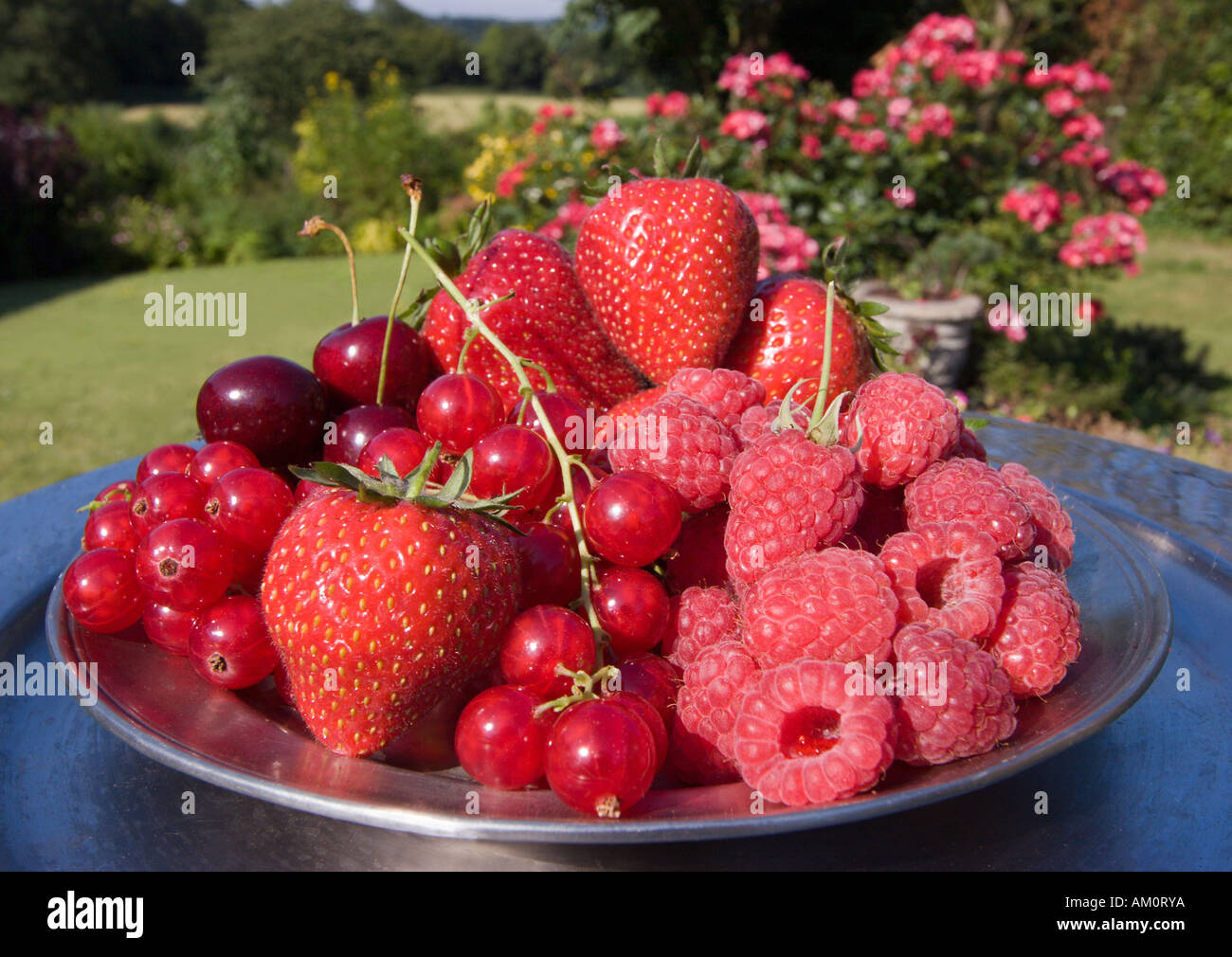 Köstliche Sommerfrüchte auf einem Teller in der englischen Garten Kent Stockfoto