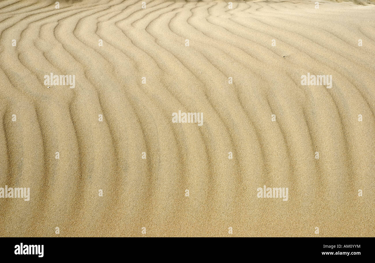 Geometrischen Welle Strukturen pied von Windstärke auf sandigen Dünen an der atlantischen Küste von Irland Stockfoto
