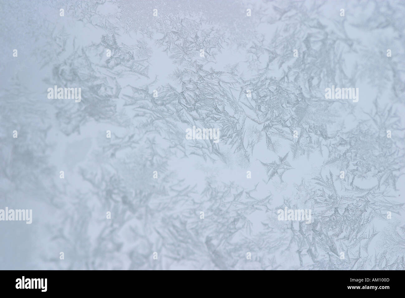 Frost am Autofenster Stockfoto