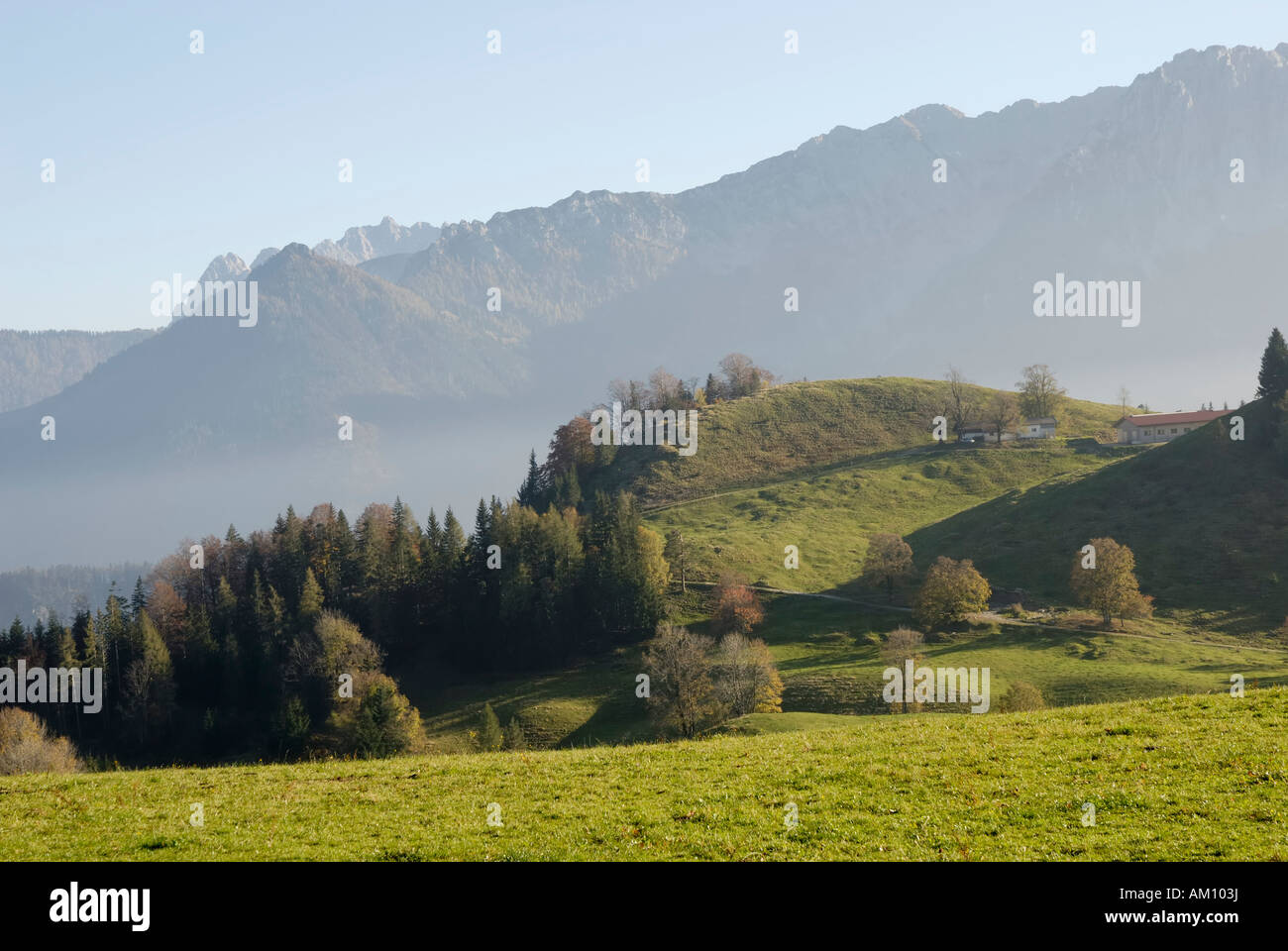 Herbstliche Alm aufgehellt durch Abendsonne, Tirol Österreich Stockfoto