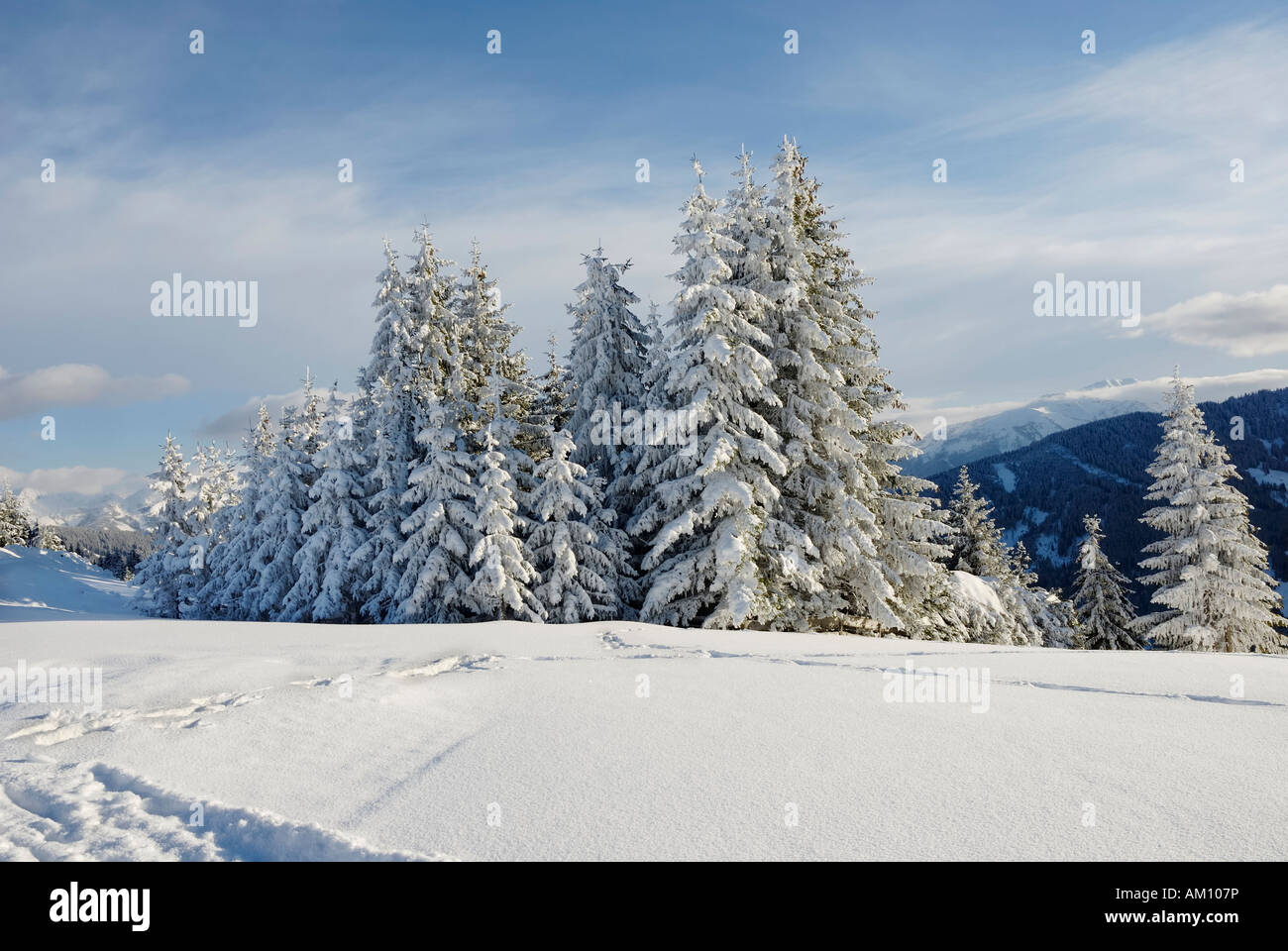 Schneebedeckte herausgeputzt in den Tiroler Alpen, Österreich Stockfoto