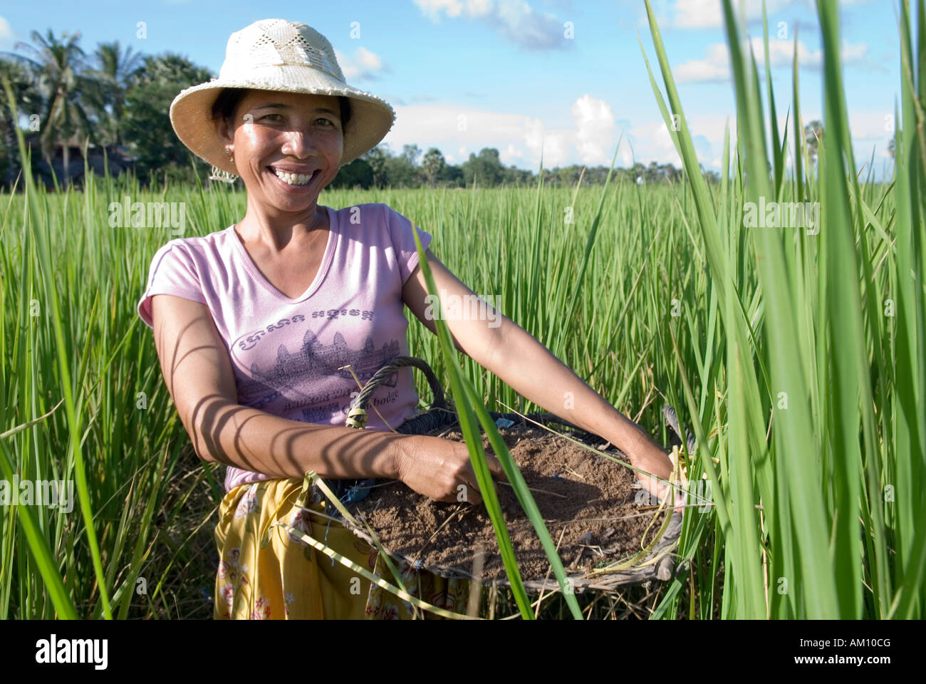 Lachend Landwirte Frau, natürlichen Dünger auf einem Reisfeld, Takeo Province, Kambodscha Stockfoto