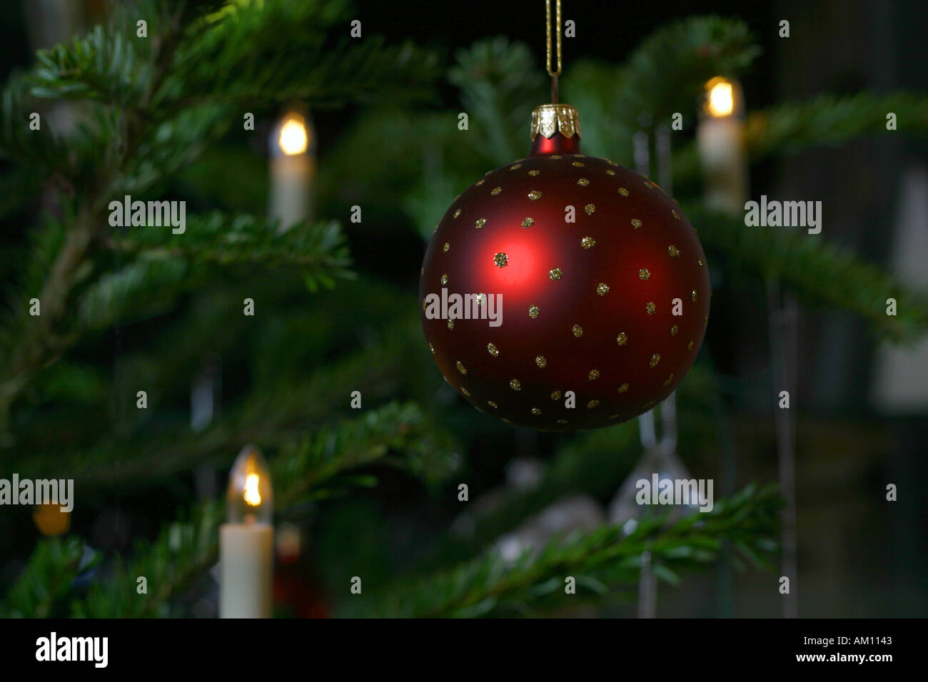 Weihnachtsbaum-detail Stockfoto