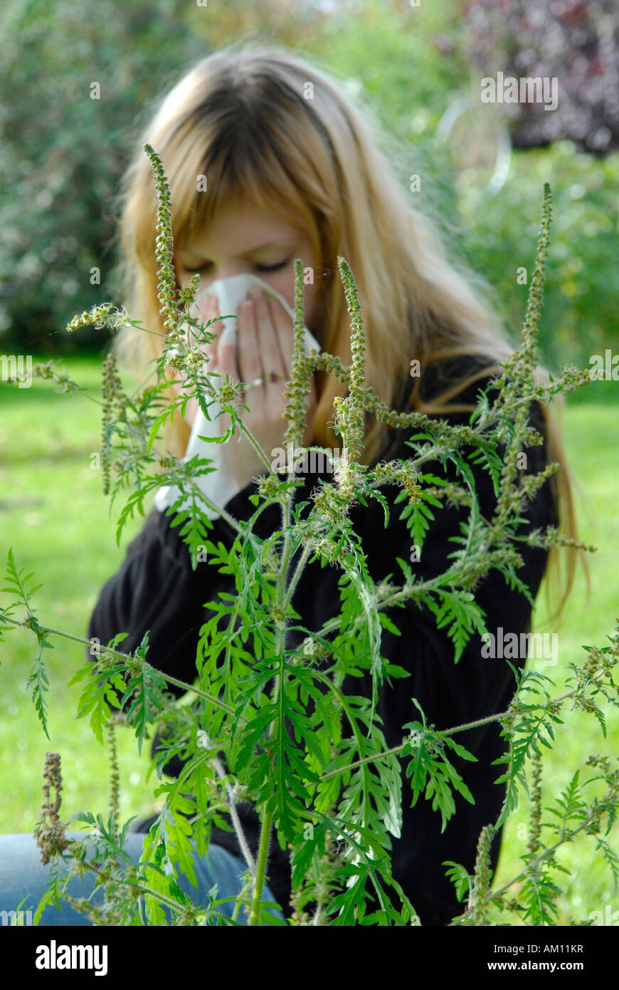 Frau reagiert allergisch auf Ragweed Stockfoto
