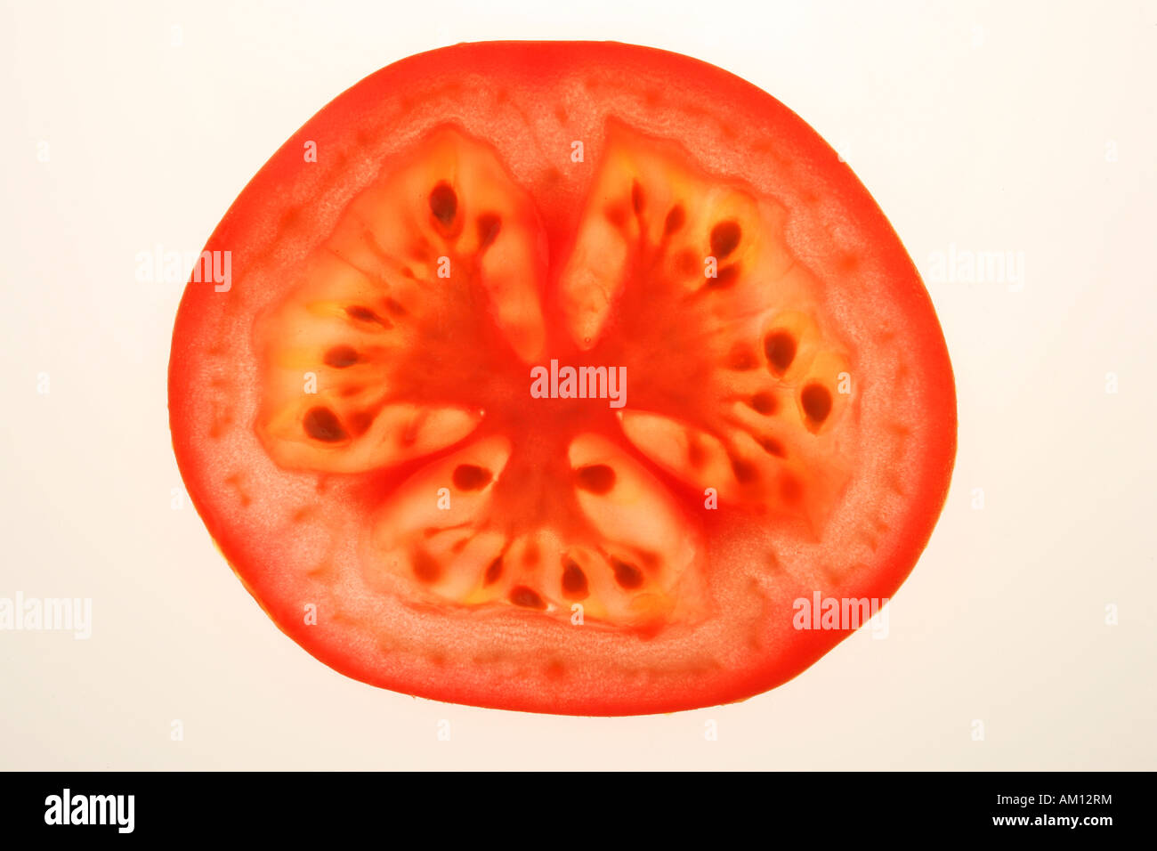 Einen Ausschnitt Schuss eine Scheibe Tomate, vor einem weißen Hintergrund beleuchtet. Stockfoto