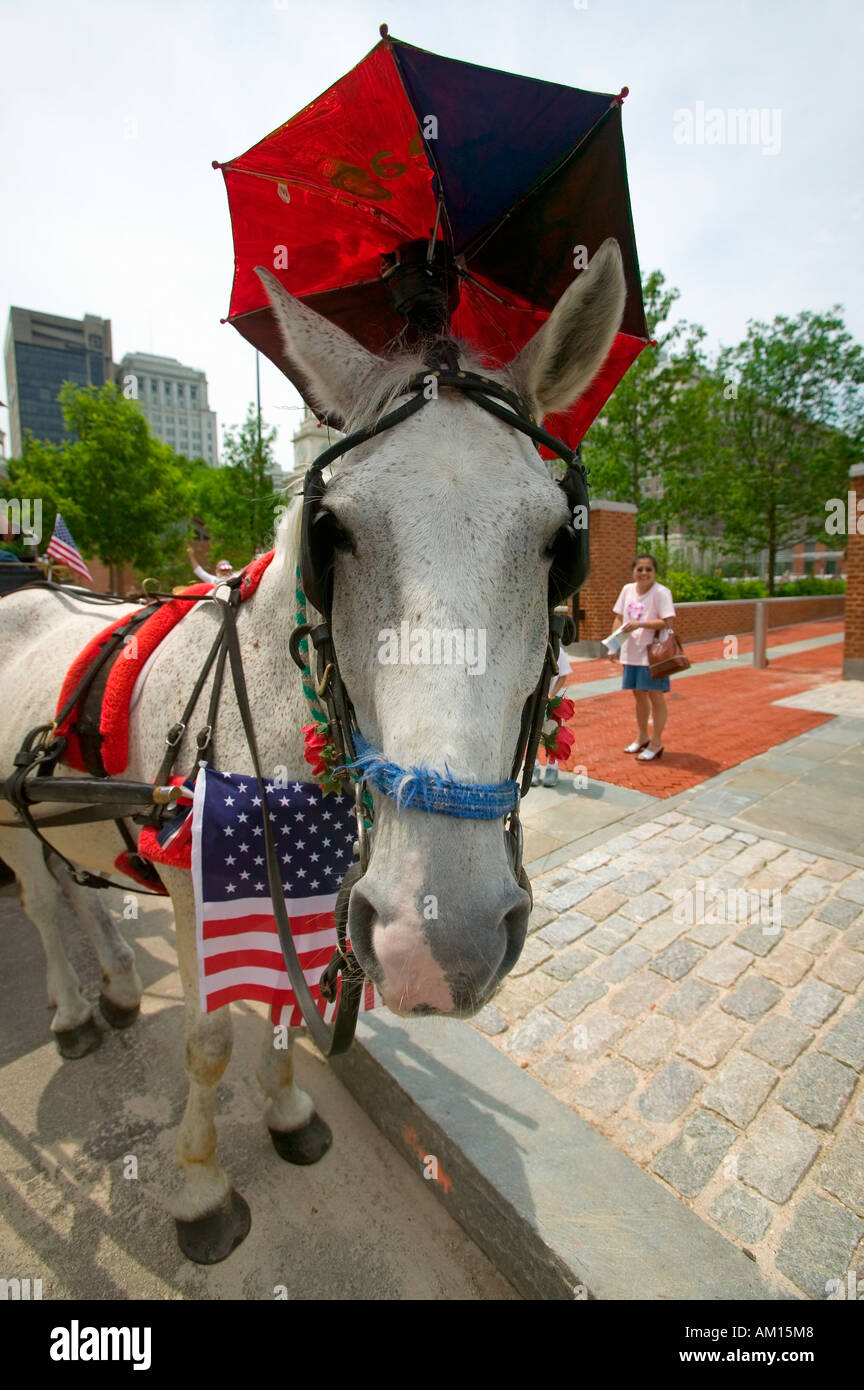 Patriotische Pferd und Wagen mit Fahnen vor Unabhängigkeit Hall Philadelphia Pennsylvania Stockfoto