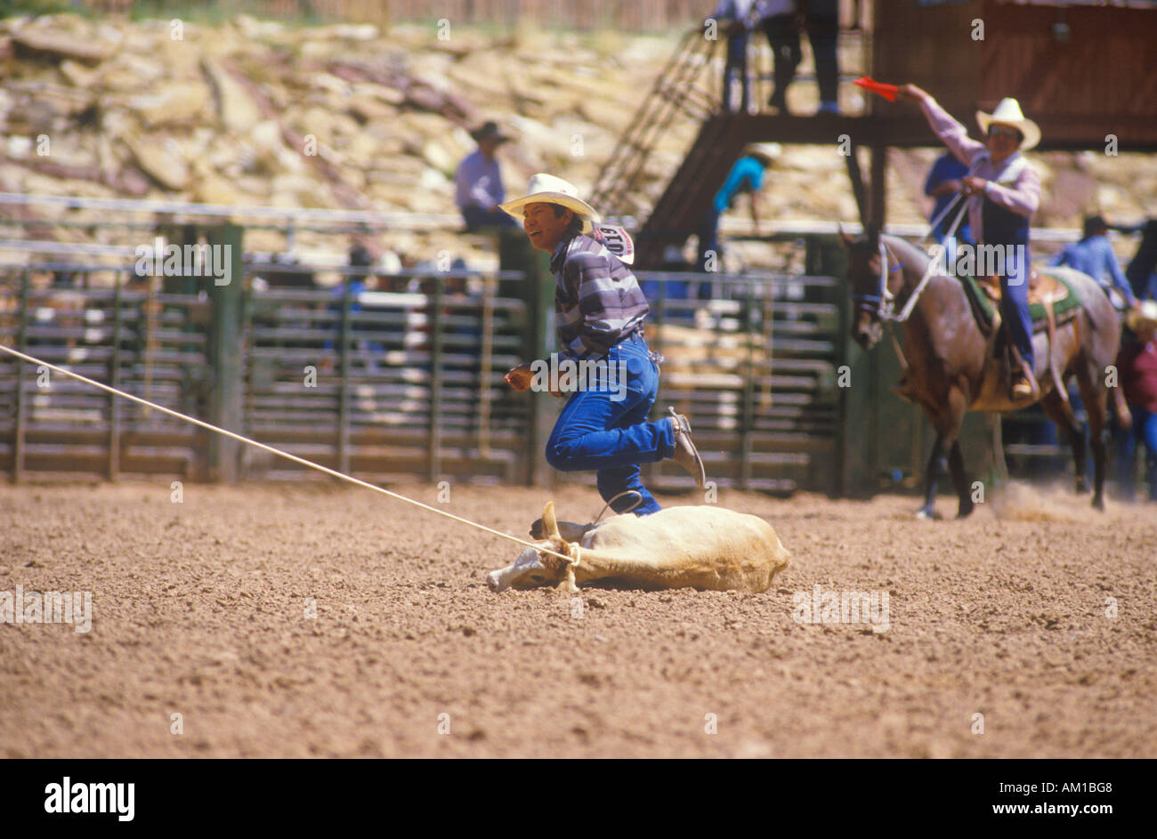 Kalb roping Inter Tribal zeremonielle indischer Rodeo Gallup NM Stockfoto