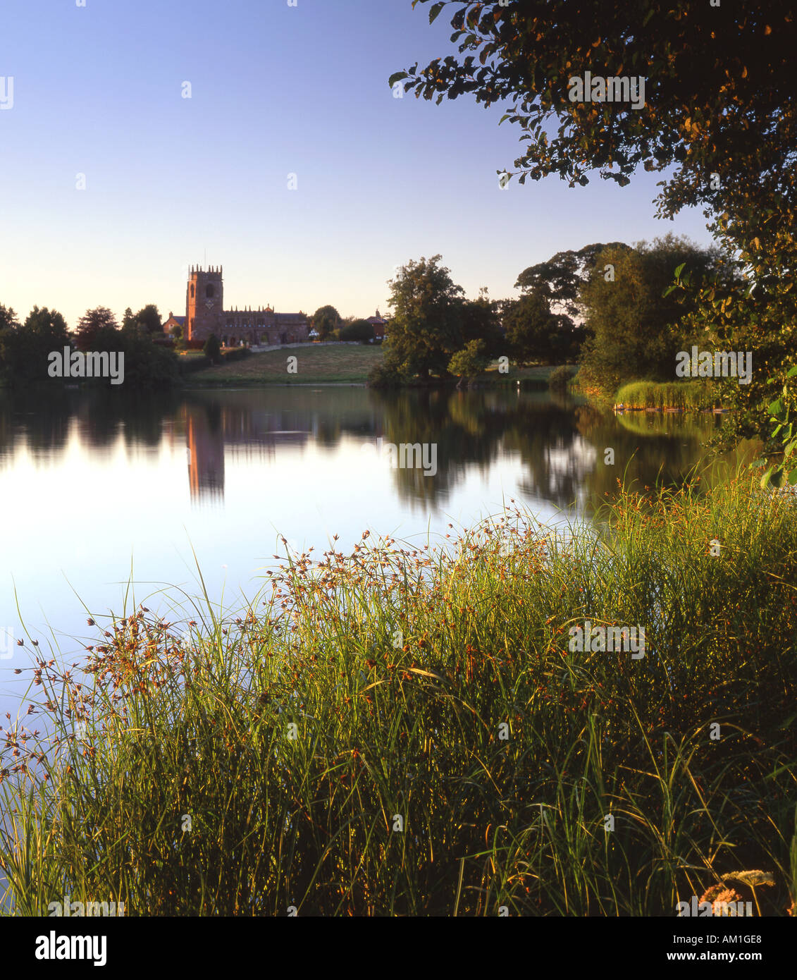 St. Michaels Kirche und große nur im Sommer, Marbury, Cheshire, England, UK Stockfoto