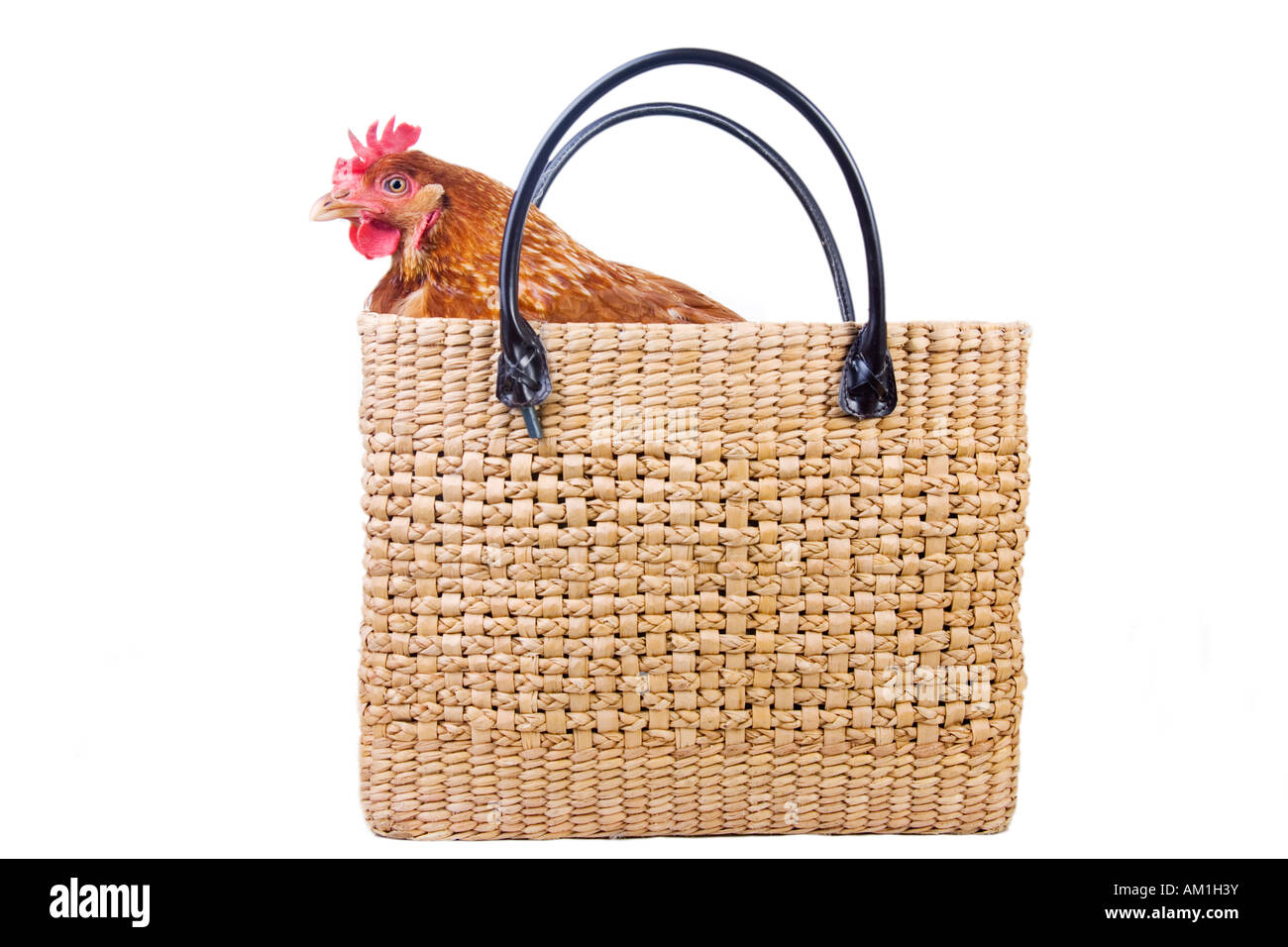 Huhn in einem Warenkorb Stockfoto