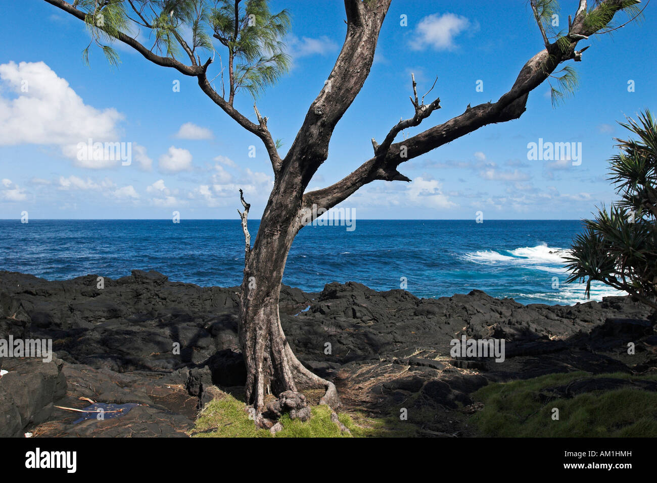 Küste mit vulkanischen Gesteinen in La Réunion, Frankreich, Südafrika Stockfoto