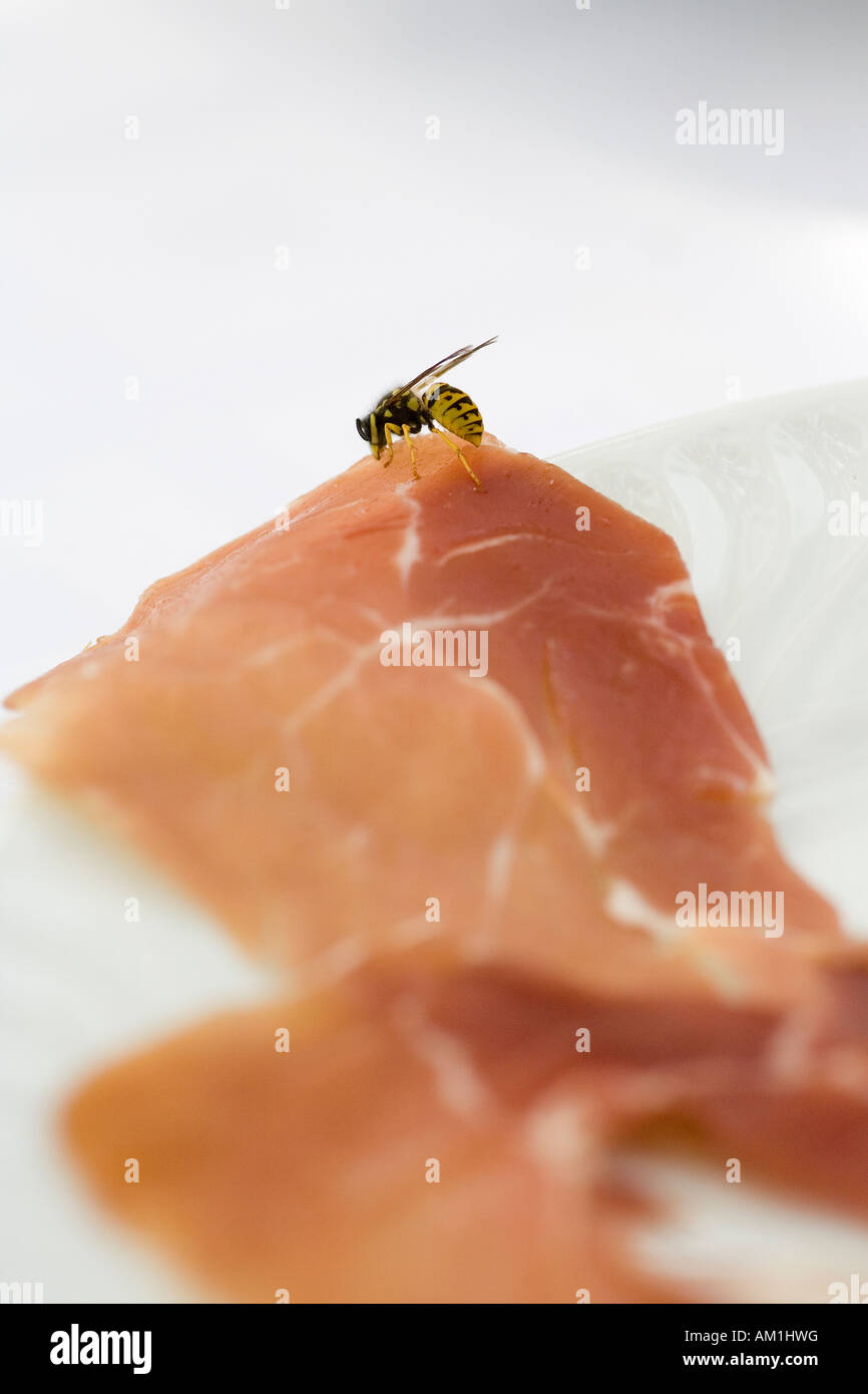 Eine Wespe Frisst von Einem Stueck Rohem Schinken Stockfoto