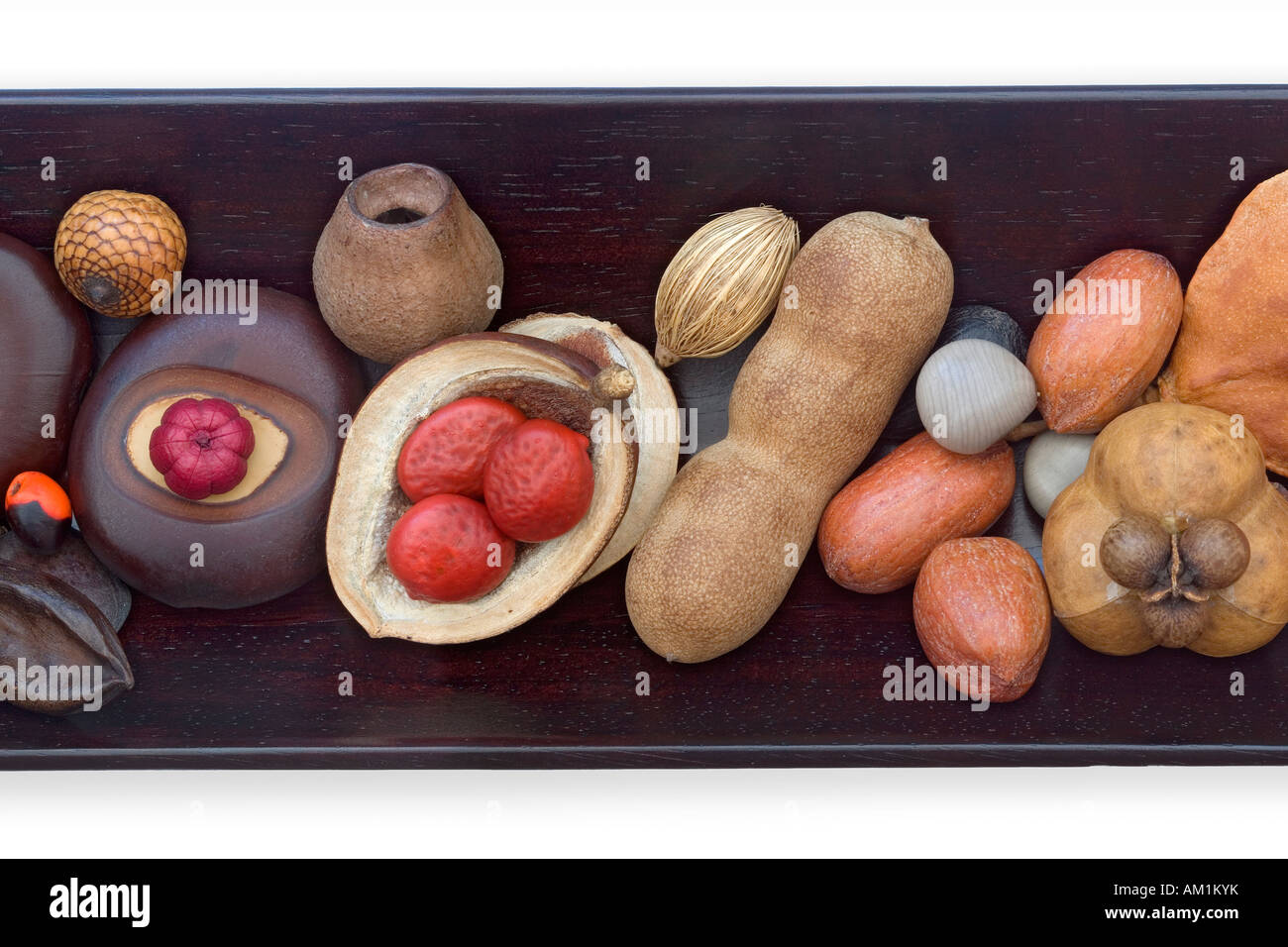 Eine Sammlung von exotischen Samen auf einem Holztablett angeordnet. Sammlung de Graines exotischen Disposées Sur un Plateau de Bois Foncé. Stockfoto
