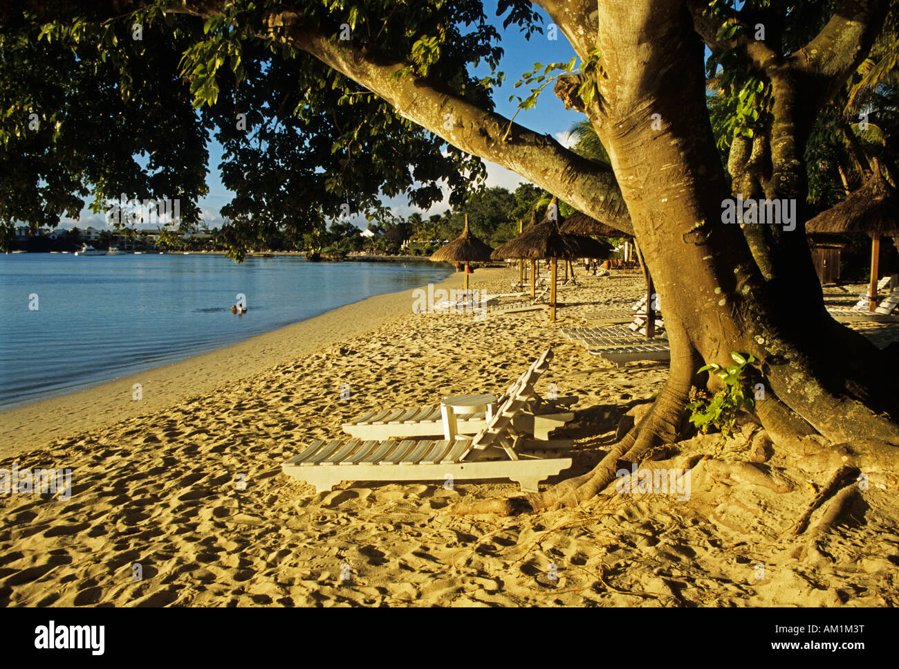 Strand auf Mauritius Island, Afrika Stockfoto