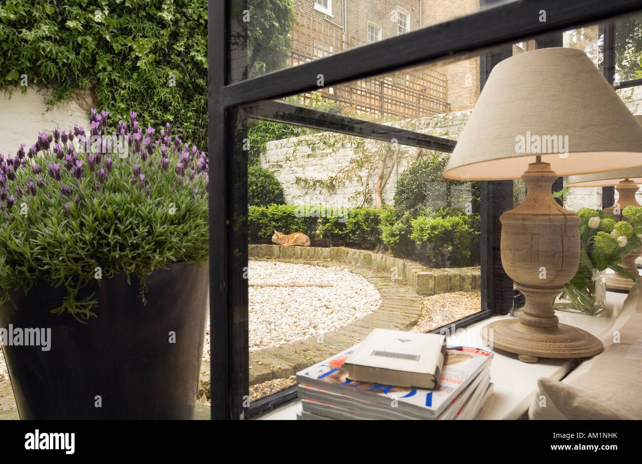 London-Garten mit Lavendel Topf Stockfoto