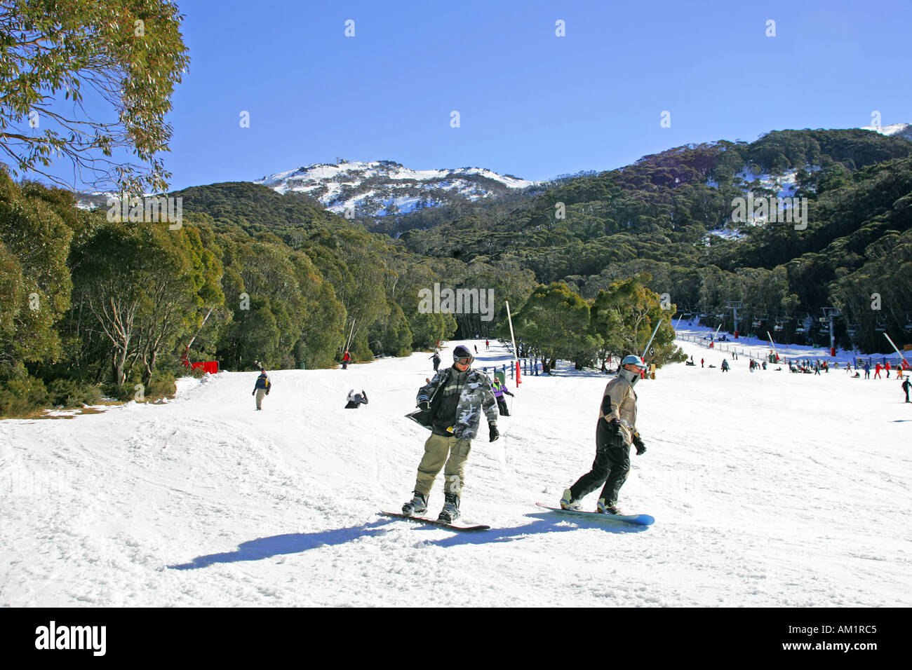 Thredbo Skifahren Stockfoto
