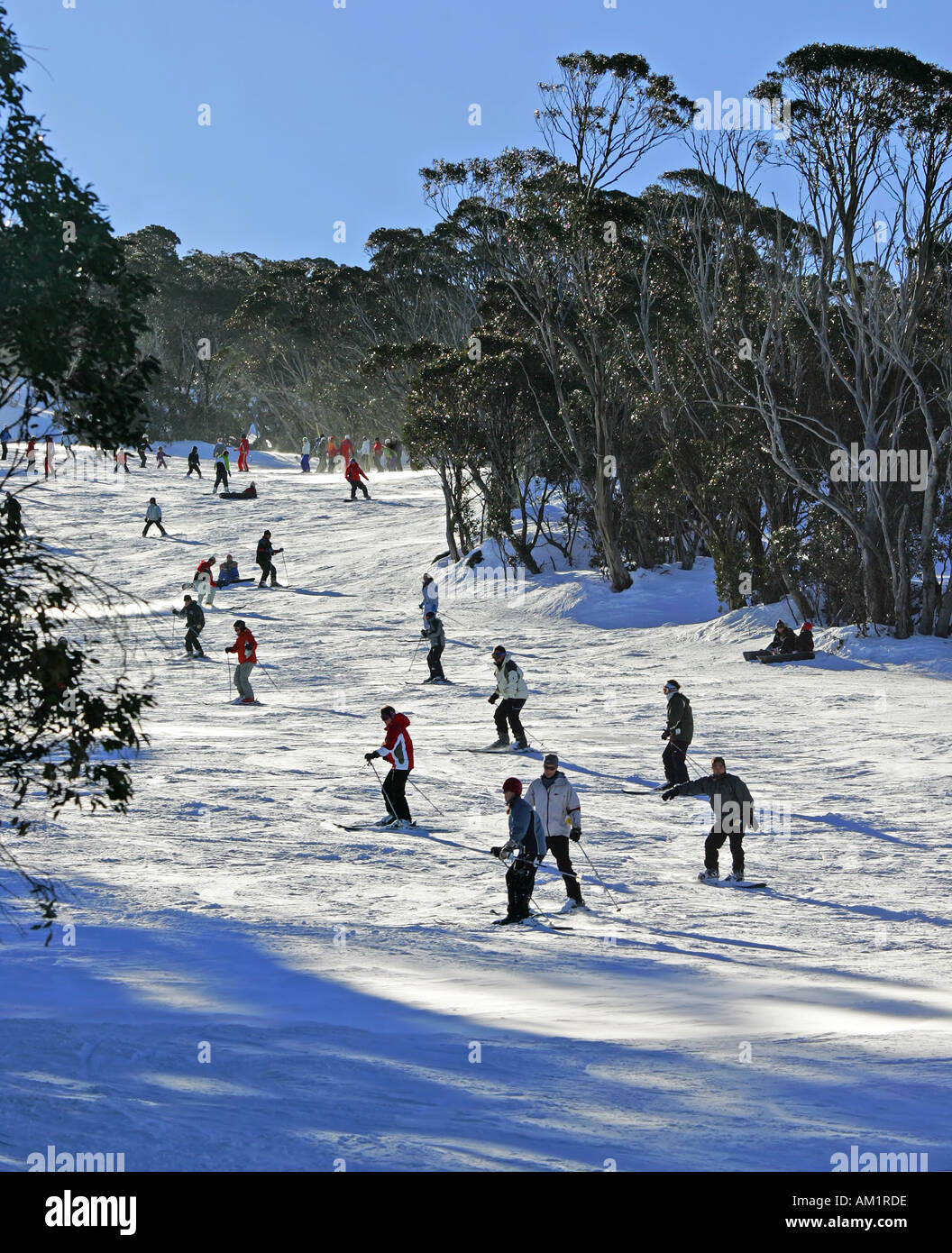 Thredbo Skifahren Stockfoto