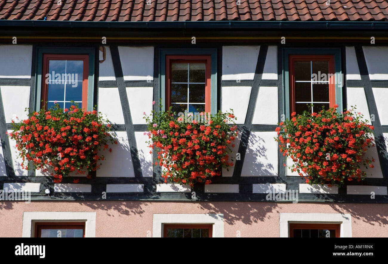 Ein Fachwerkhaus mit Blumenksten im Fenster, Hessen, Deutschland  Stockfotografie - Alamy