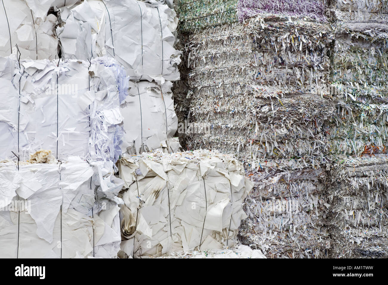 Gesammelten Altpapier Recycling Stockfoto