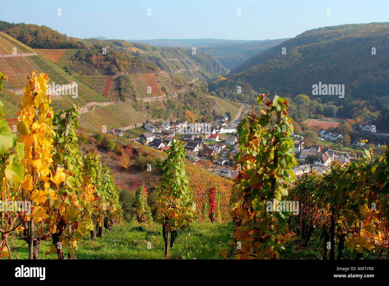 Der Ahr-Tal-Blick in Richtung Dernau Weinherstellung Dorf Rheinland-Pfalz Deutschland Europa Stockfoto