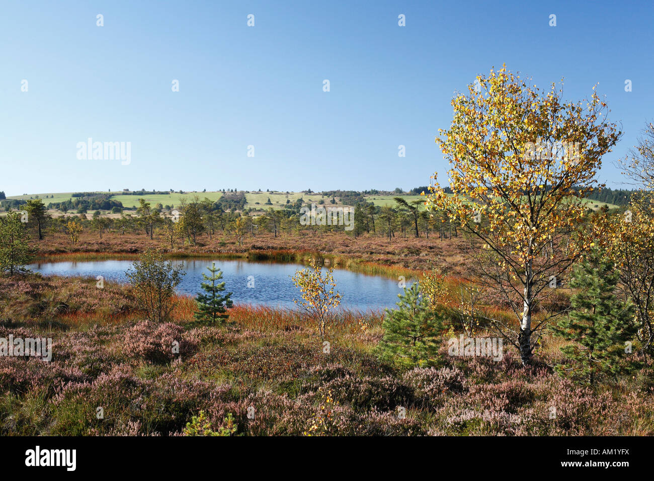 Schwarzes teich Fotos und Bildmaterial in hoher Auflösung Alamy