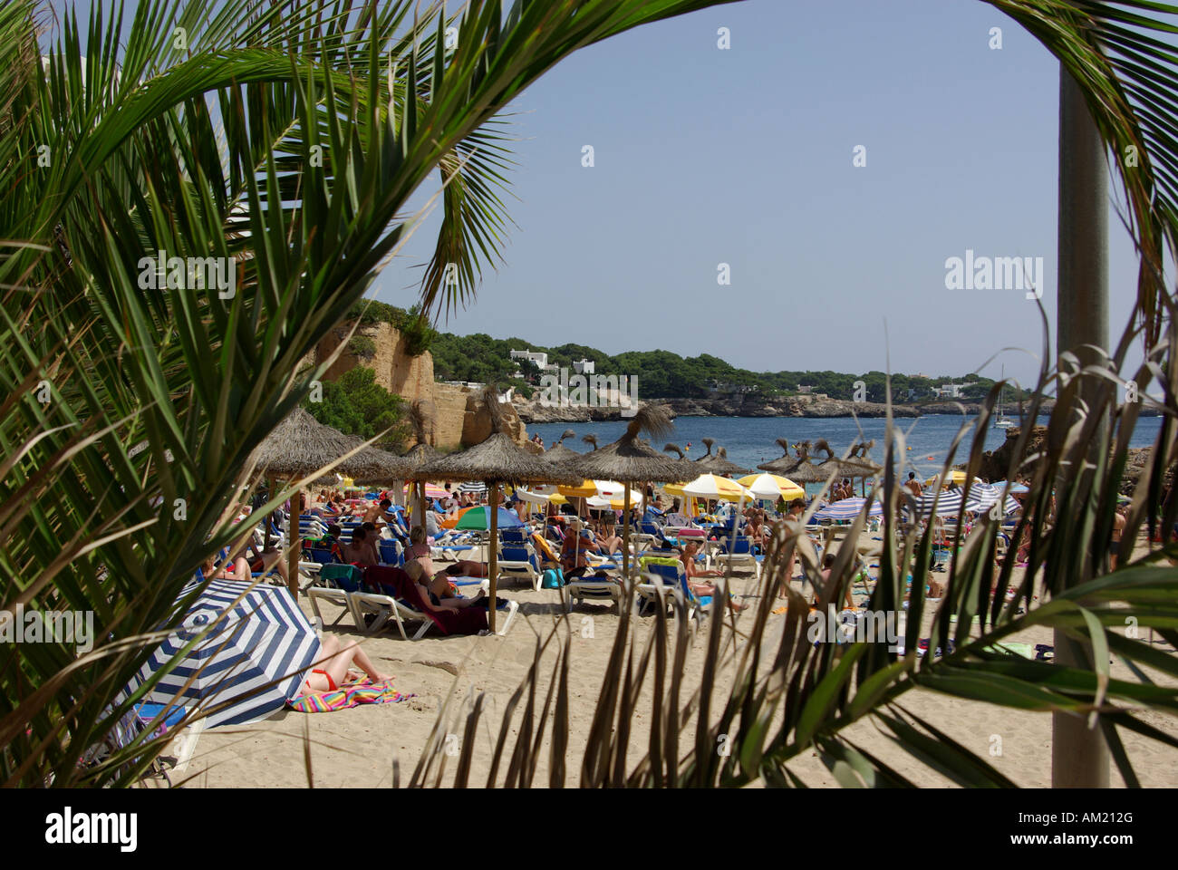 Blick durch die Palmen am Strand von Cala des Forti an der Ostküste der Insel Mallorca Spanien Stockfoto