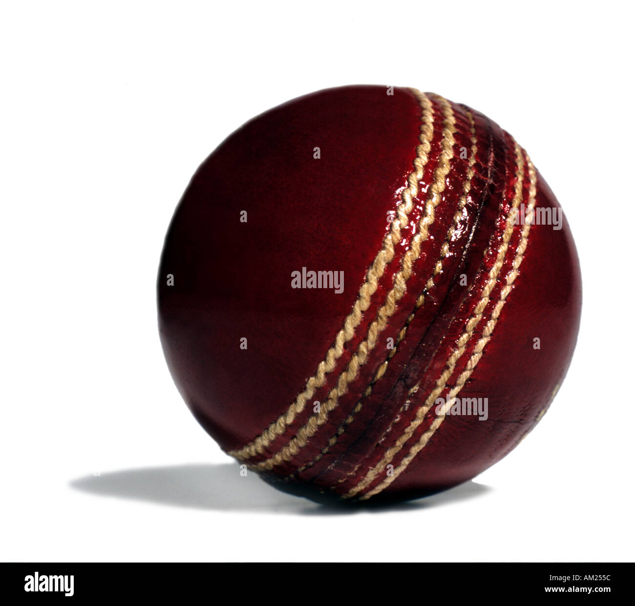 Cricketball Stockfoto