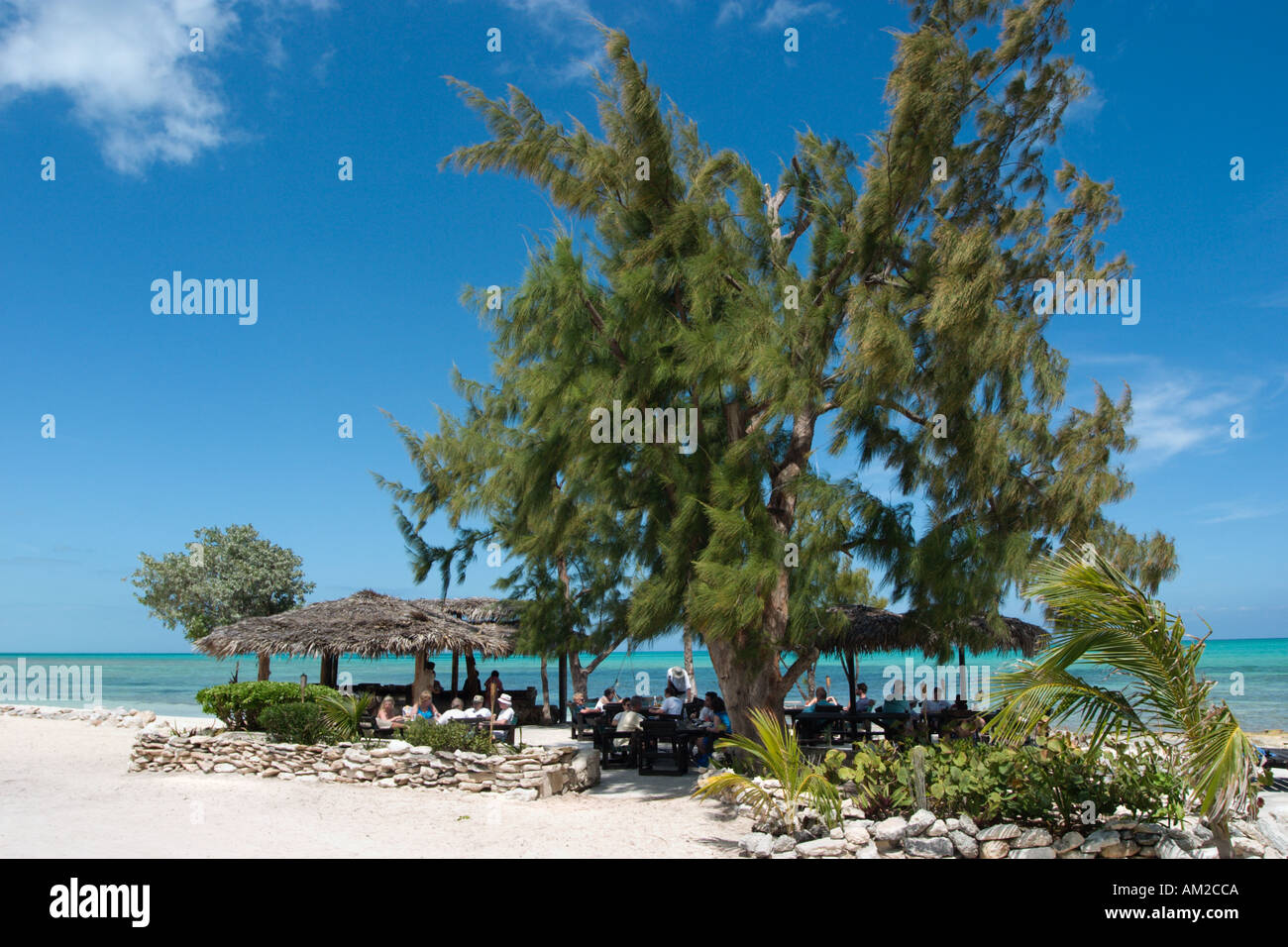 Strand und Beach Bar an kleine Hope Bay Lodge, Fresh Creek, Andros, Bahamas, Karibik Stockfoto