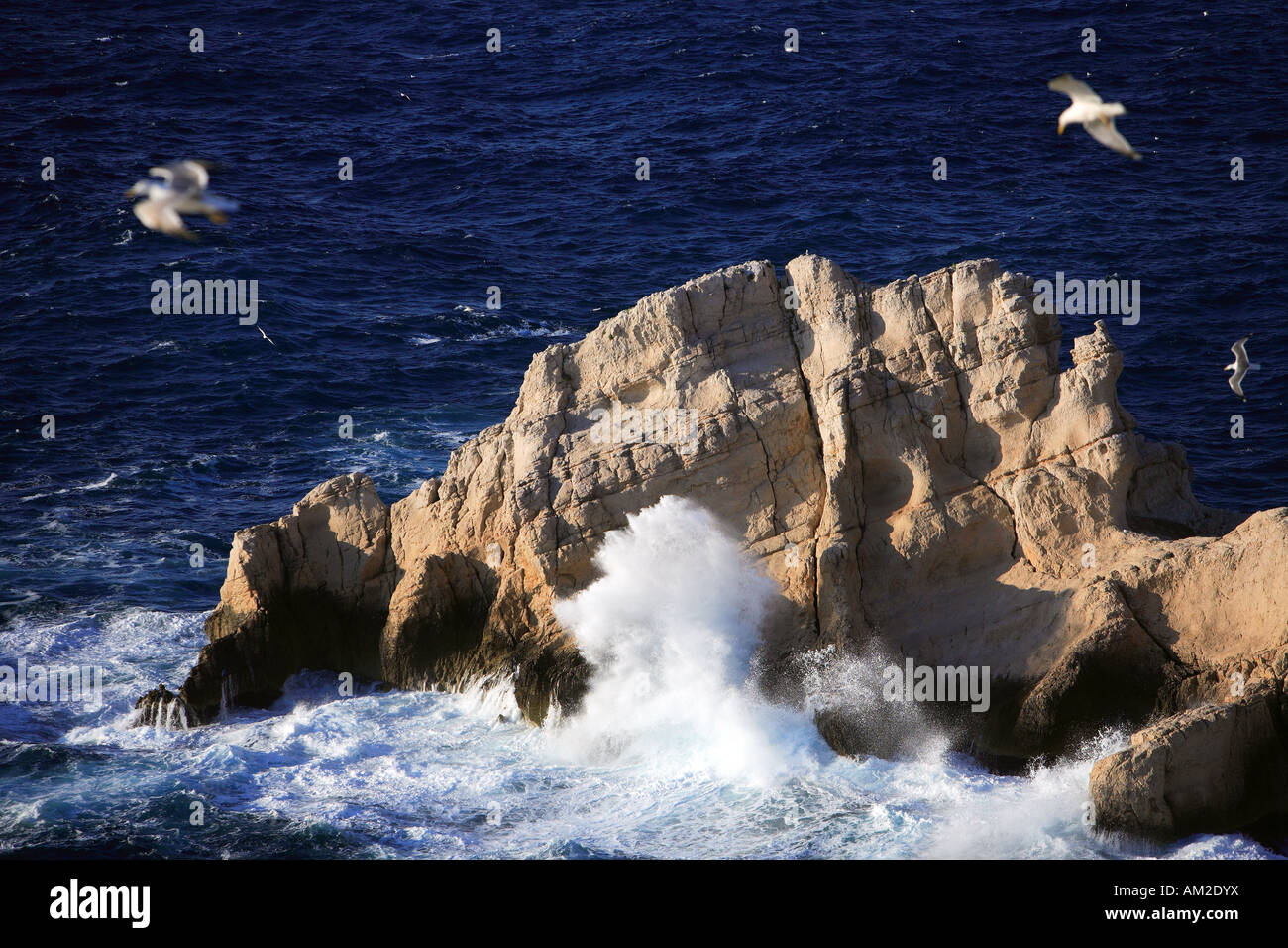 Frankreich, Marseille, Bouches du Rhone Ile du Frioul vor Marseille Stockfoto