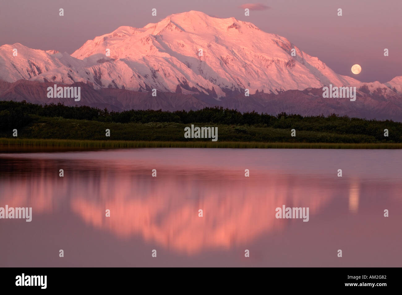 Der Vollmond und Mt McKinley von Reflection Pond Denali Nationalpark, Alaska Stockfoto