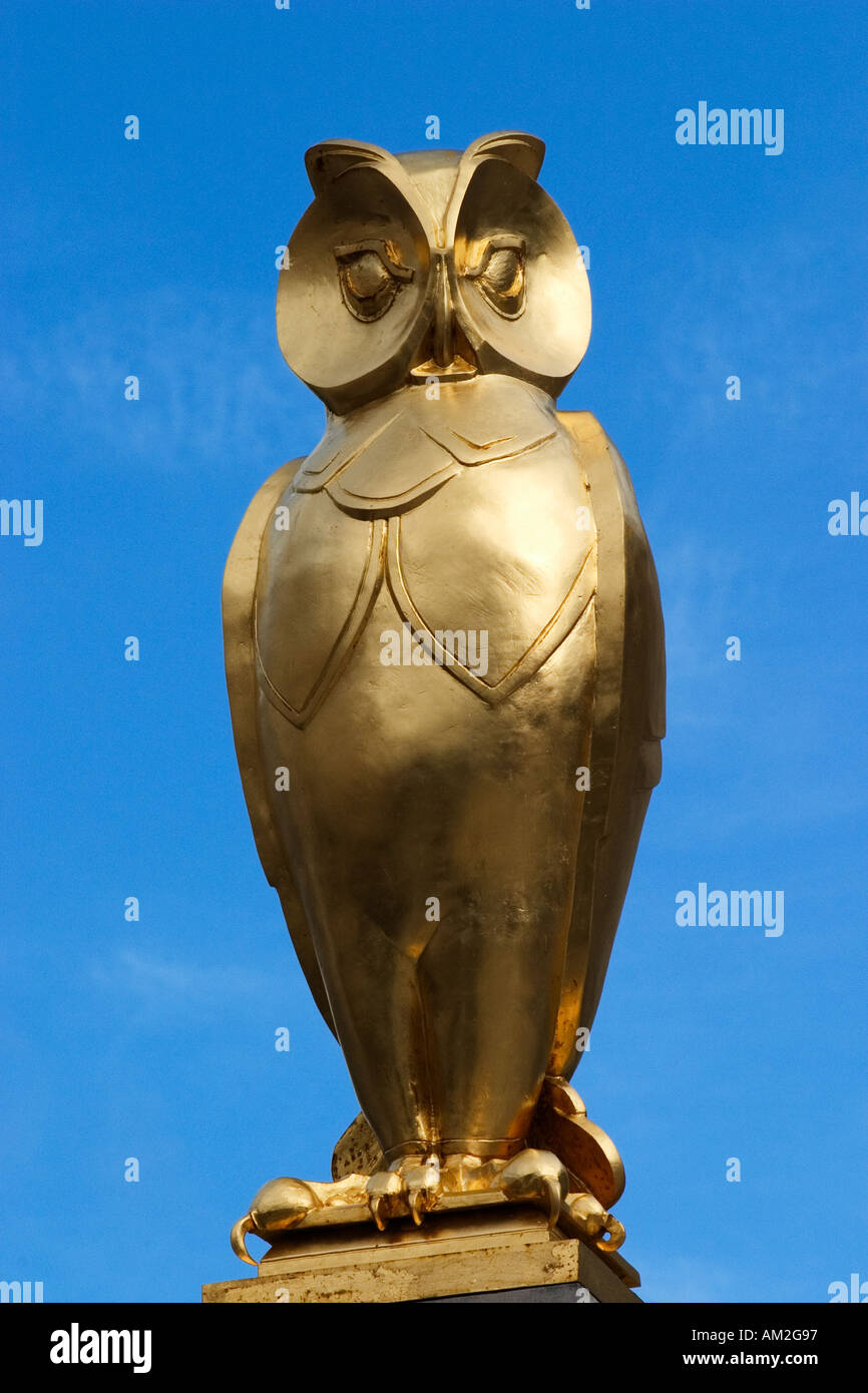 Leeds-Owl in der Stadthalle in Millennium Square Leeds West Yorkshire England Stockfoto