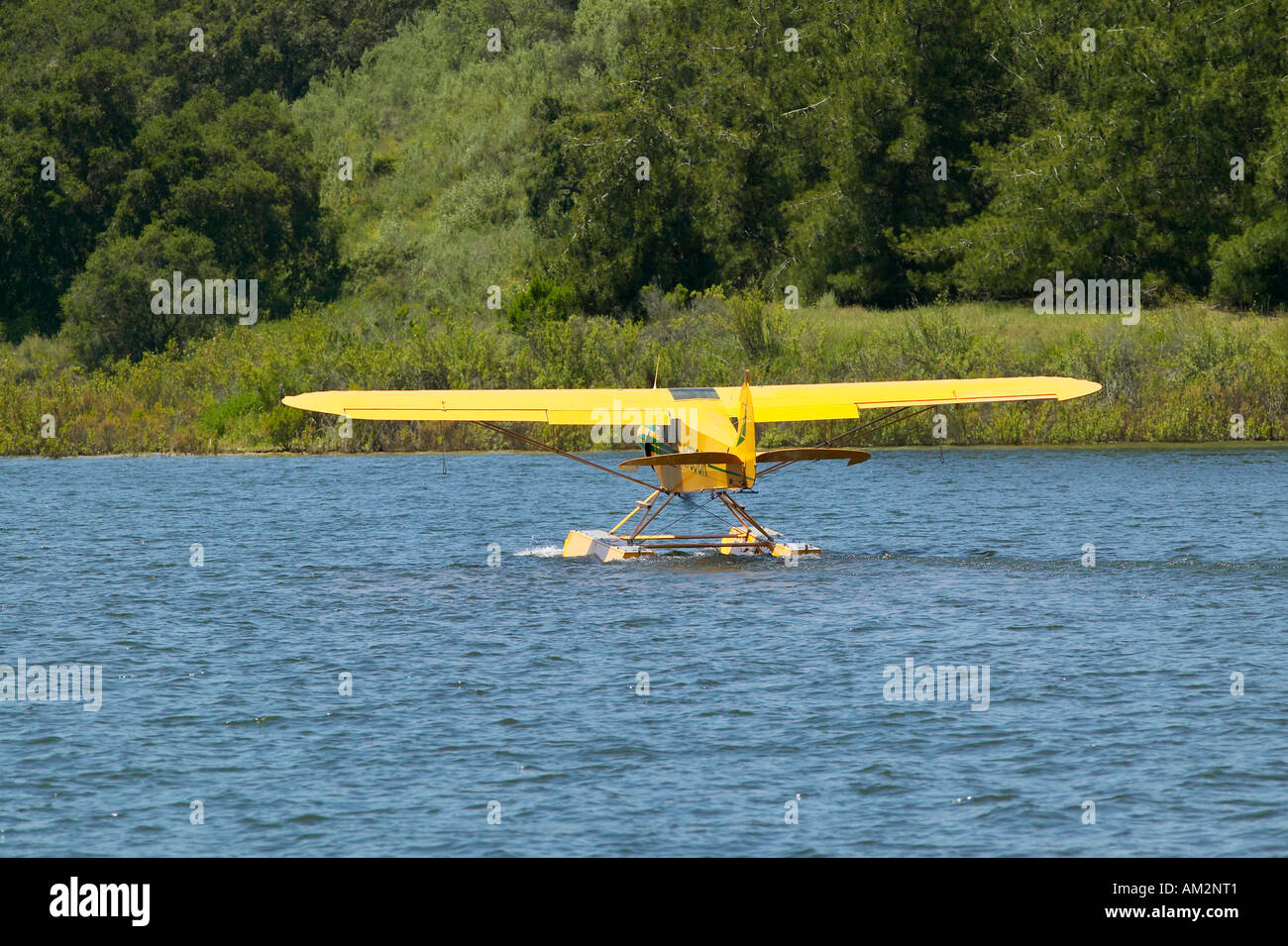 Gelbe amphibische Wasserflugzeug ausziehen aus Lake Casitas Ojai Kalifornien Stockfoto