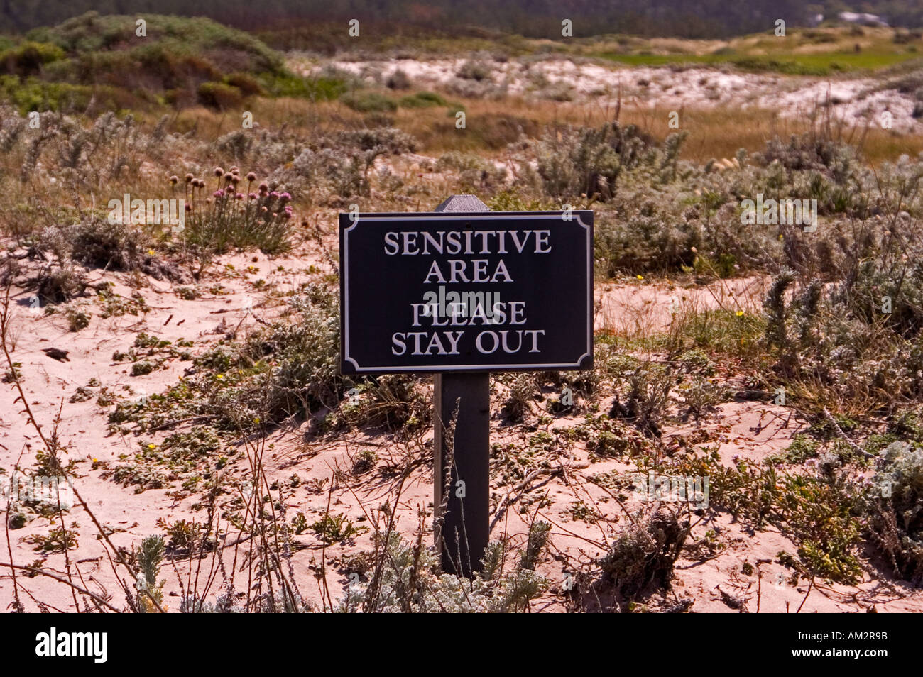 Bitte bleiben Sie Zeichen sensiblen Bereich Out, Spanish Bay, 17 Mile Drive, Pebble Beach, Kalifornien USA Stockfoto